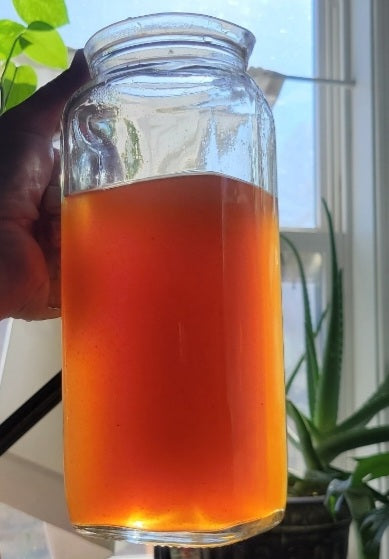 Michele's Tea- Fibromyalgia, Pain, and Energy