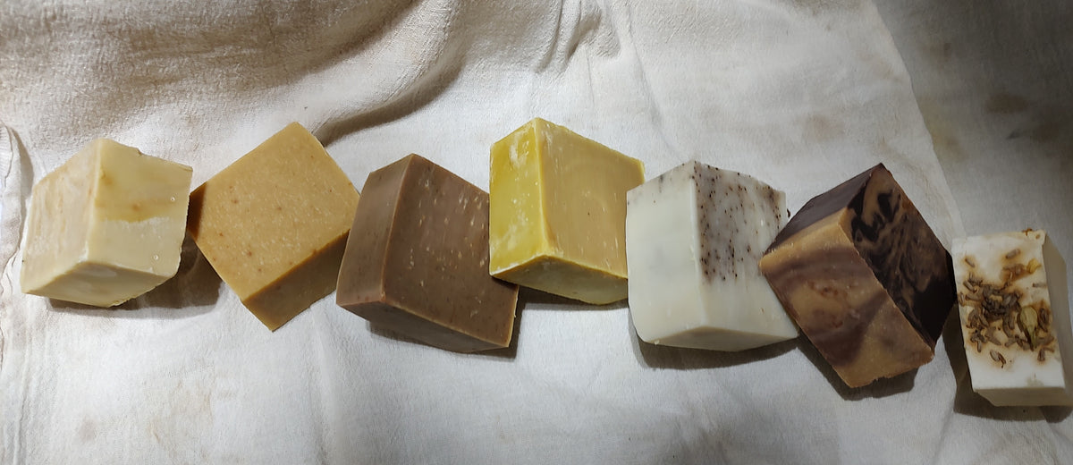 Aloe Vera, Honey & Neem Soap Bar