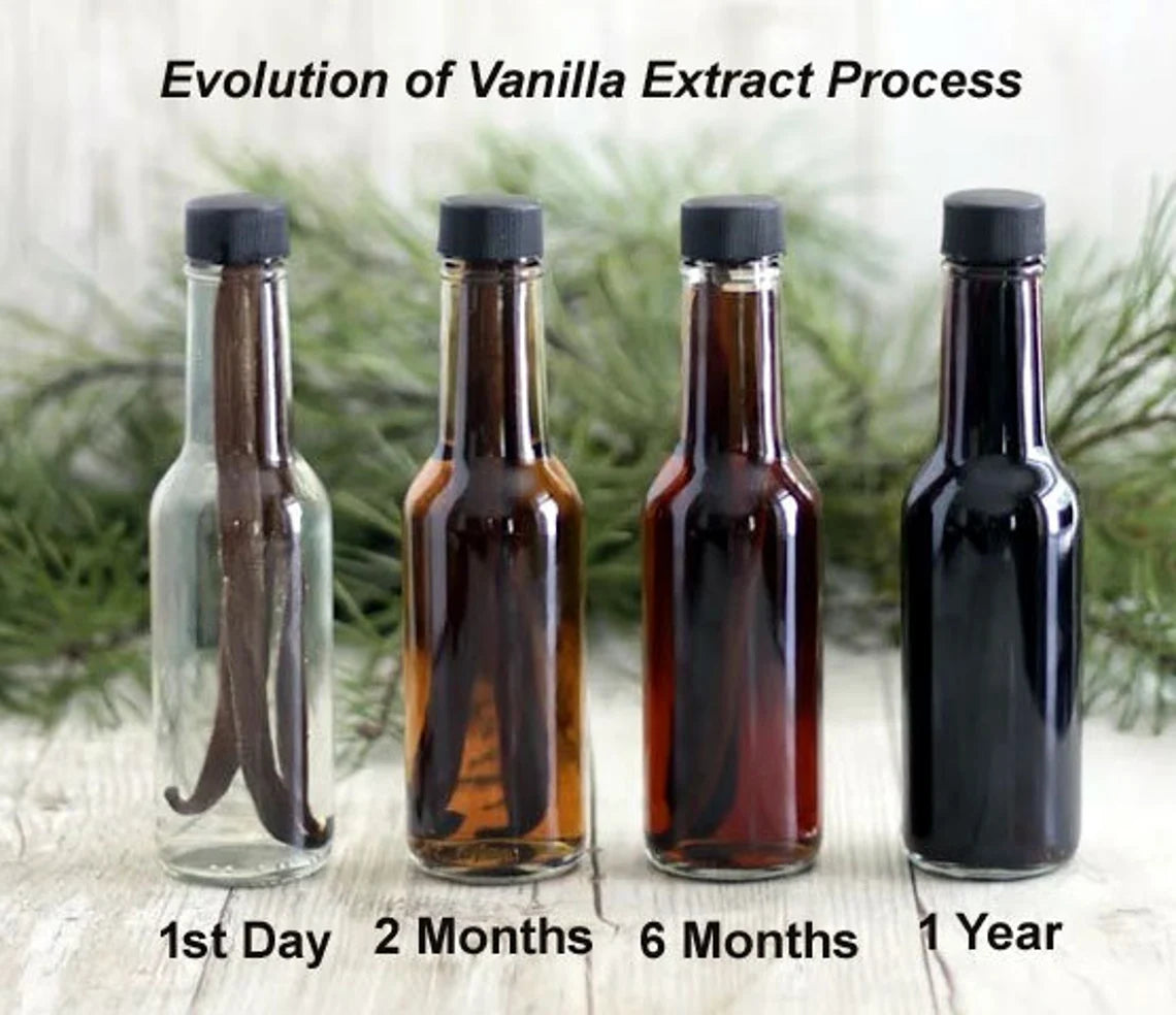 KL Landing's Pure Baking Vanilla Extract