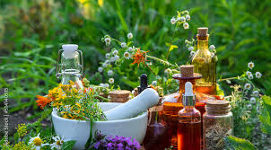 Class:  A How-to Create a One Year Herbal Plan