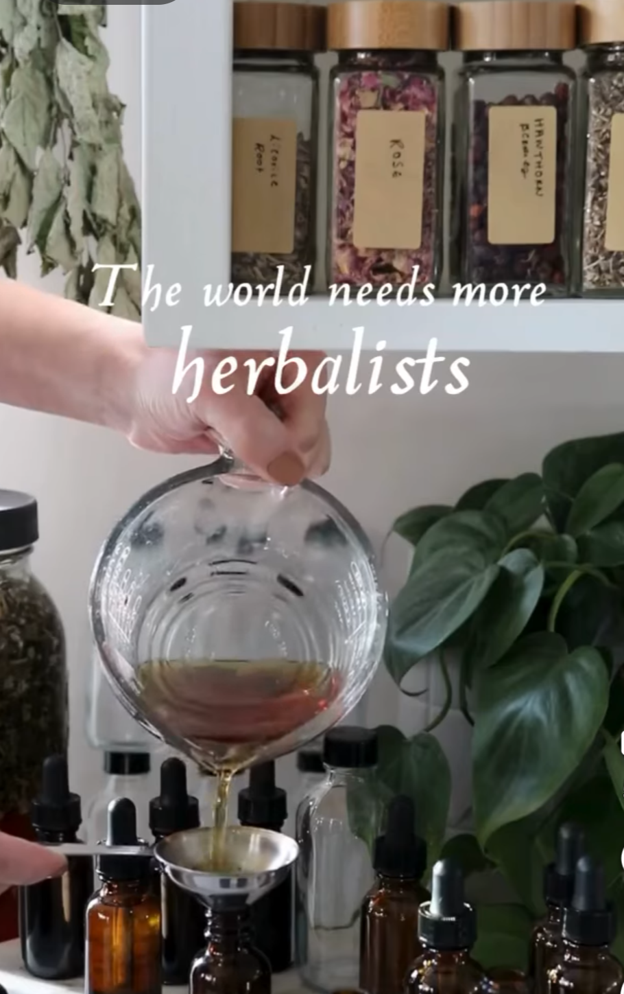 Introductory Herbal and Tincture-making Class